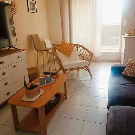 Mauguio-Carnon Apt T2 Tout Confort, Spacieux, Lumineux, Clim, Wifi, Balcon, Parking Prive, 15 Mn Des Plages, De Montpellier Apartment